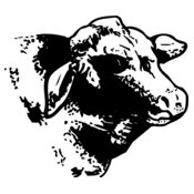 COW004